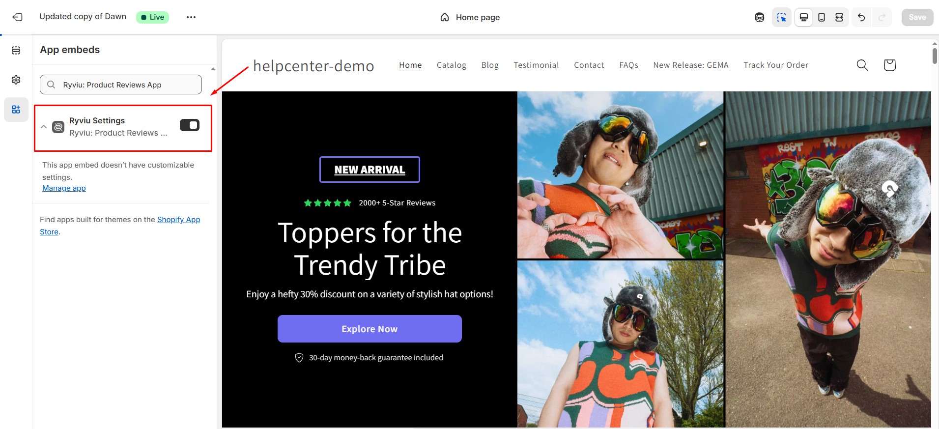 ryviu-install-app-embed-2