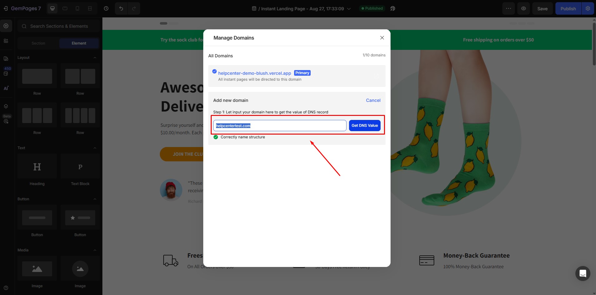 subdomain-instant-landing-page-enter-name