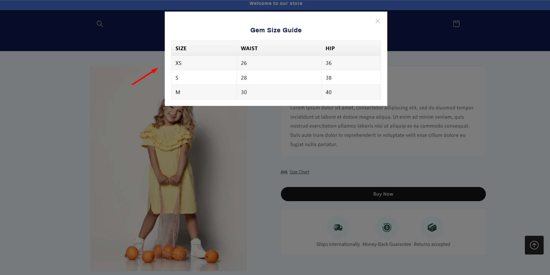 BFSizeChart&SizeGuide10
